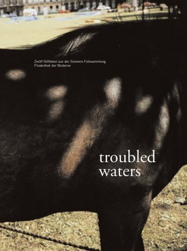 Troubled Waters: 12 Stillleben aus der Siemens Fotosammlung Pinakothek der Moderne: 12 Stillleben aus der Siemens Fotosammlung Pinakothek der Moderne. ... Meister, Dresden, 2008/2009. Dtsch.-Engl.