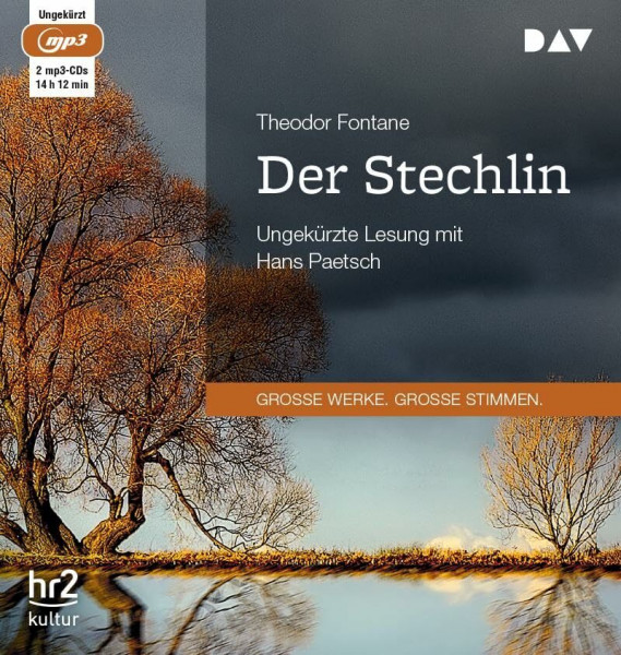 Der Stechlin: Ungekürzte Lesung mit Hans Paetsch (2 mp3-CDs)