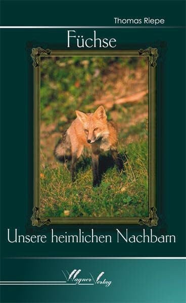 Füchse: Unsere heimlichen Nachbarn