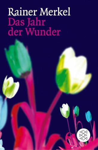 Das Jahr der Wunder: Roman