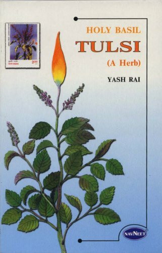 Holy Basil Tulsi a Herb