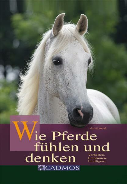 Wie Pferde fühlen und denken: Verhalten, Emotionen, Intelligenz (Cadmos Ratgeber)