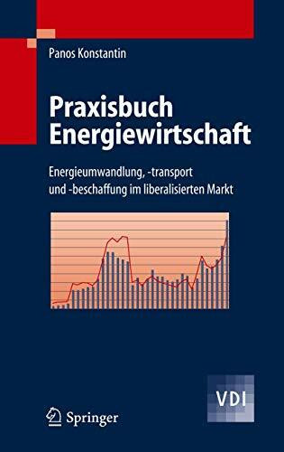 Praxisbuch Energiewirtschaft: Energieumwandlung, -transport und -beschaffung im liberalisierten Markt (VDI-Buch)