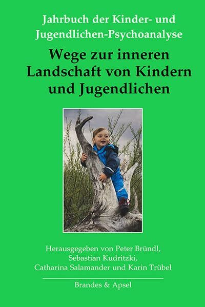 Wege zur inneren Landschaft von Kindern und Jugendlichen (Jahrbuch der Kinder- und Jugendlichen-Psychoanalyse)