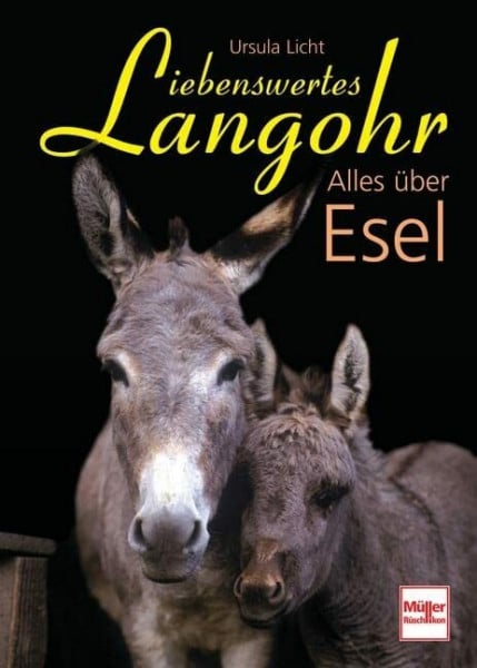 Liebenswertes Langohr: Alles über Esel