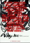 Why are you creative?: Englische Ausgabe