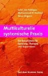 Multikulturelle systemische Praxis: Ein Reiseführer für Beratung, Therapie und Supervision