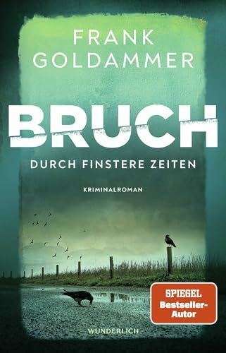 Bruch: Durch finstere Zeiten: Roman (Felix Bruch, Band 3)