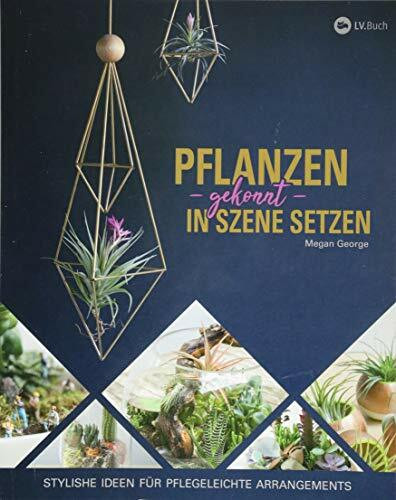 Pflanzen gekonnt in Szene setzen: Stylishe Ideen für pflegeleichte Arrangements.