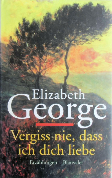 Vergiss nie, dass ich dich liebe: Erzählungen