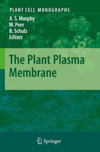 The Plant Plasma Membrane (Plant Cell Monographs, 19, Band 19)