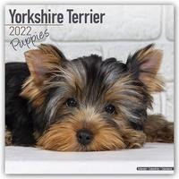 Yorkshire Terrier Puppies - Yorkshire Terrier Welpen 2022 - 18-Monatskalender mit freier DogDays-App