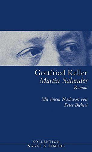 Martin Salander: Roman