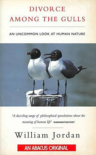Divorce Among the Gulls