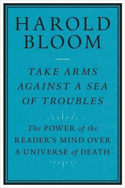 Take Arms Against a Sea of Troubles