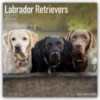 Labrador Retrievers 2022 - 18-Monatskalender