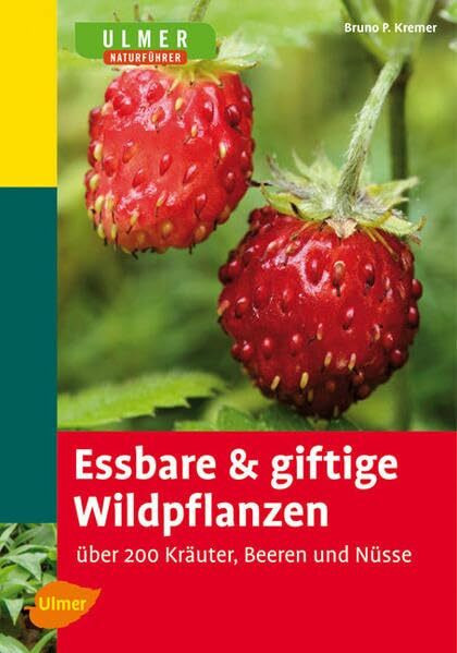 Essbare und giftige Wildpflanzen: Über 200 Kräuter, Beeren und Nüsse