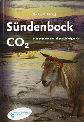 Sündenbock CO2: Plädoyer für ein lebenswichtiges Gas