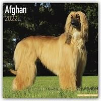 Afghan - Afghanen 2022