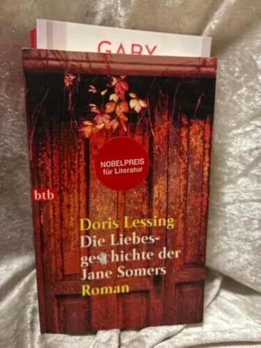 Die Liebesgeschichte der Jane Somers: Roman