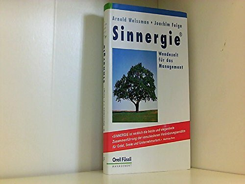 Sinnergie: Wendezeit für das Management