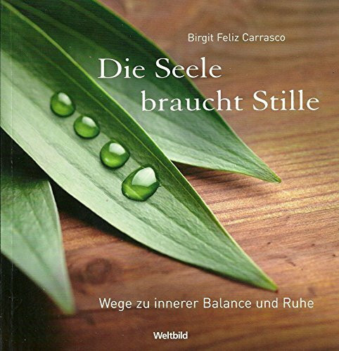 Die Seele braucht Stille: Wege zu innerer Balance und Ruhe (inkl. CD)