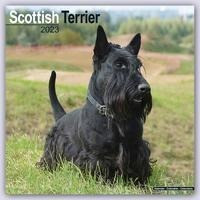 Scottish Terrier - Scottish Terrier 2023 - 16-Monatskalender