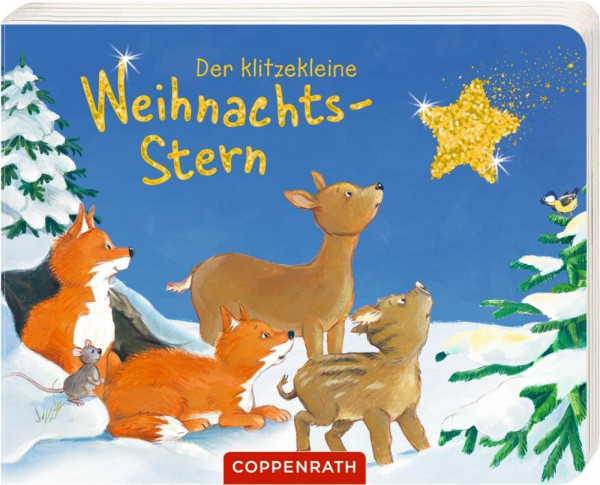 Der klitzekleine Weihnachtsstern