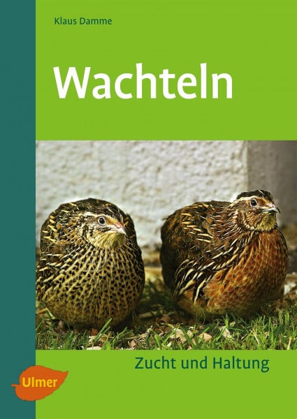 Wachteln: Zucht und Haltung