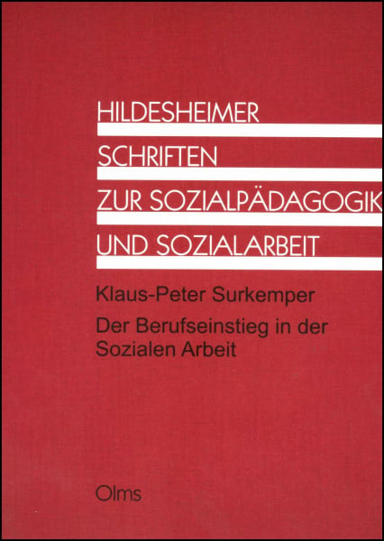 Der Berufseinstieg in der Sozialen Arbeit - Das Anerkennungsjahr aus der Sicht der BerufspraktikantInnen (Hildesheimer Schriften zur Sozialpädagogik und Sozialarbeit)