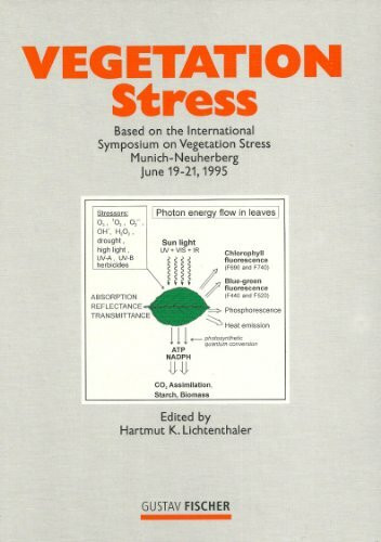 Vegetation Stress