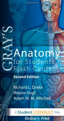 Churchill Livingstone Gray's Anatomy For Students Flash Cards