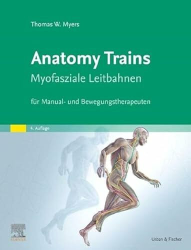 Anatomy Trains: Myofasziale Leitbahnen für Manual- und Bewegungstherapeuten