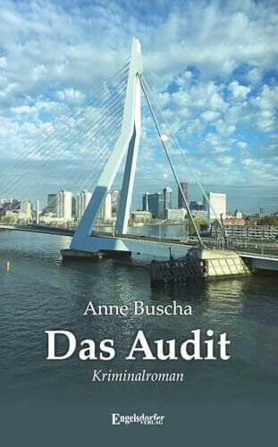 Das Audit: Kriminalroman