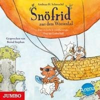 Snöfrid aus dem Wiesental 05. Der wahrlich wildbewegte Flug im Luftschiff