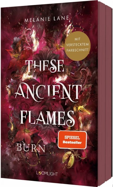 These Ancient Flames 2: Burn: Düster & sinnlich – Epische Drachen-Romantasy mit Enemies to Lovers und einem Morally Gray Hero. #BookTok-Vibes garantiert. (2)