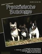 Unser Traumhund: Französische Bulldogge