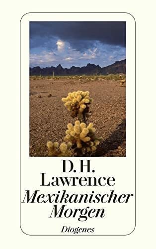 Mexikanischer Morgen: Reisetagebücher (detebe)