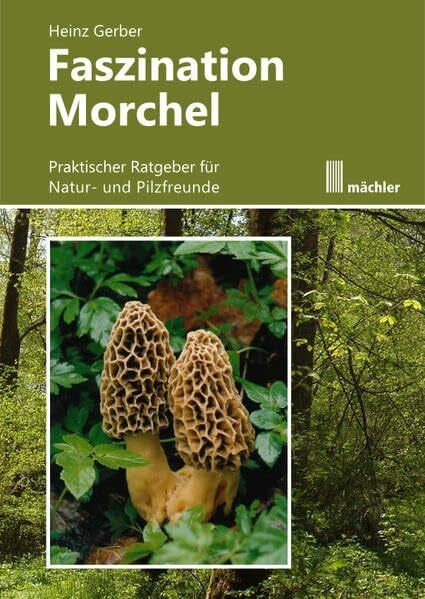 Faszination Morchel: Praktischer Ratgeber für Pilz- und Naturfreunde