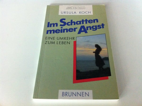 Im Schatten meiner Angst: Eine Umkehr zum Leben (ABCteam-Paperback - Brunnen)