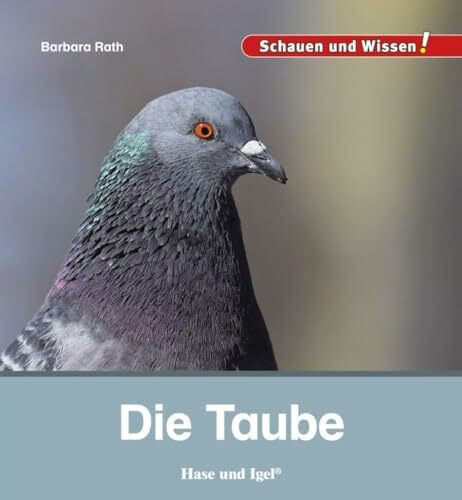 Die Taube: Schauen und Wissen!