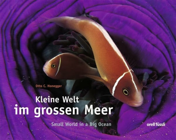 Kleine Welt im grossen Meer: Dtsch.-Engl.