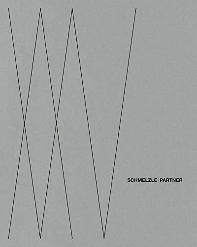 Schmelzle+Partner: 1995-2020