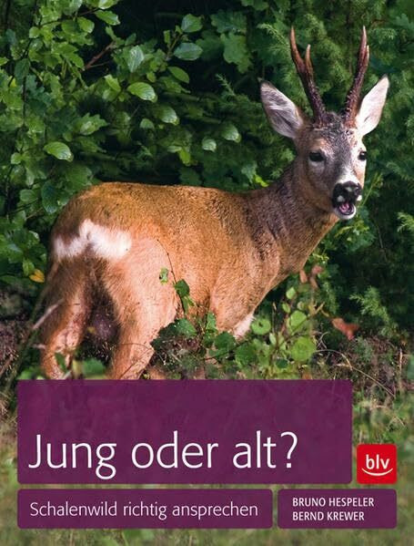 Jung oder alt?: Schalenwild richtig ansprechen