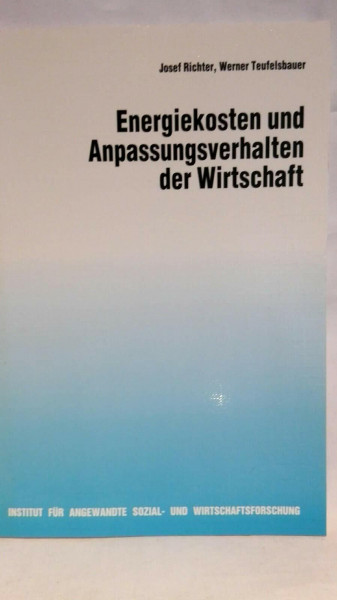 Energiekosten und Anpassungsverhalten der Wirtschaft (German Edition)