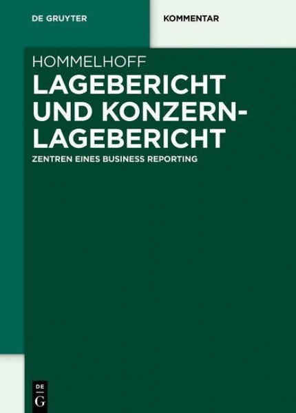 Lagebericht und Konzernlagebericht