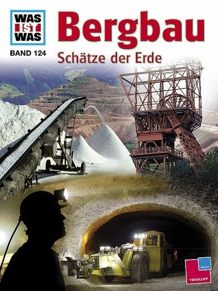 Was ist was, Band 124: Bergbau. Schätze der Erde (WAS IST WAS - Kernreihe, Band 124)