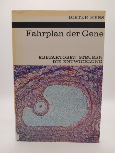 Fahrplan der Gene. Erbfaktoren steuern die Entwicklung