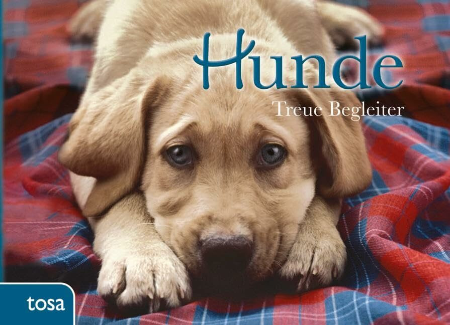 Tosa Hunde, Treue Begleiter