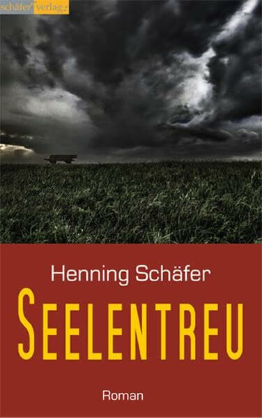 Seelentreu: Ein Heinrich-Gerhard-Krimi.